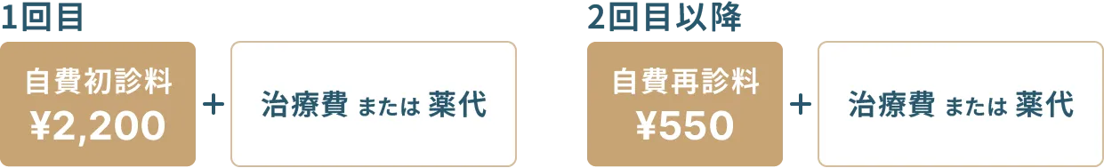 保険外診療の費用